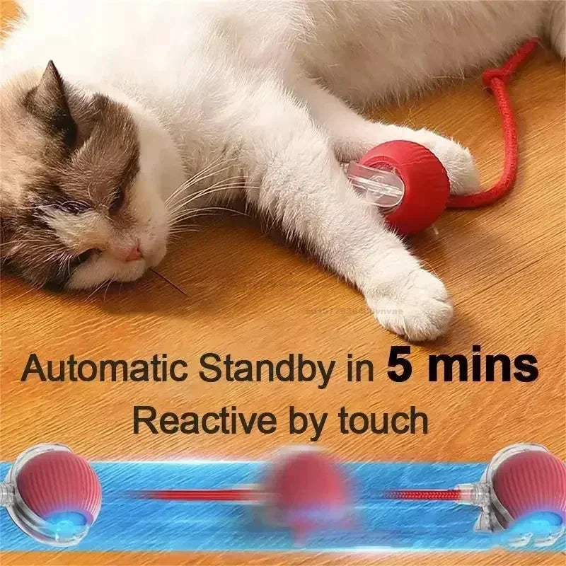 Cat Interactive Ball Toys Automatic Rolling Ball Faux Tail Rechargeable Pet Electric Toy Dog Cat Training Imitate Mouse Cat Toys