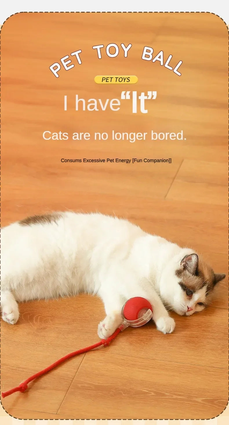 Cat Interactive Ball Toys Automatic Rolling Ball Faux Tail Rechargeable Pet Electric Toy Dog Cat Training Imitate Mouse Cat Toys