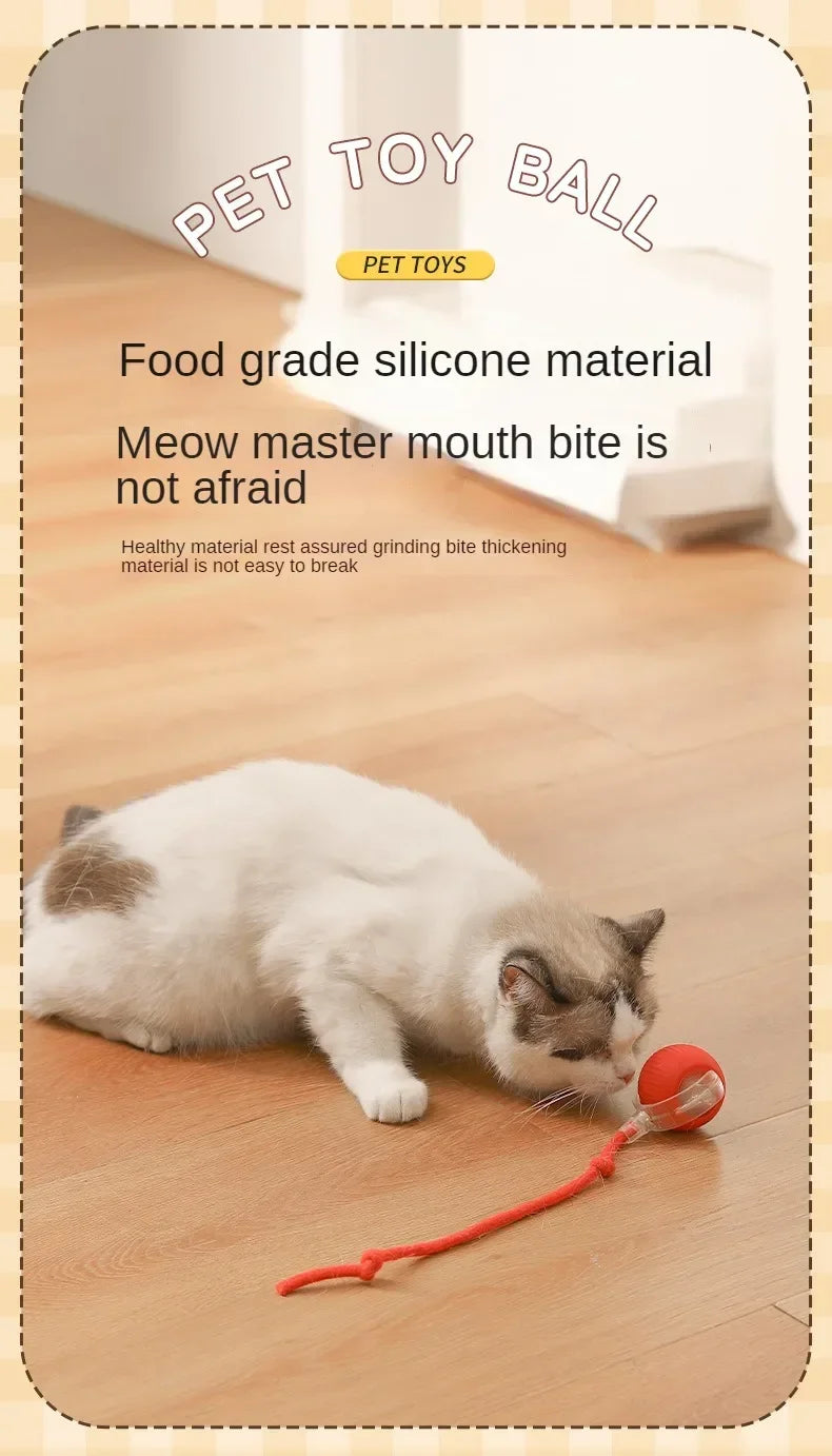 Cat Interactive Ball Toys Automatic Rolling Ball Faux Tail Rechargeable Pet Electric Toy Dog Cat Training Imitate Mouse Cat Toys