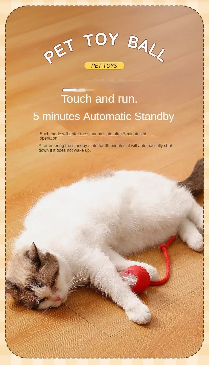 Cat Interactive Ball Toys Automatic Rolling Ball Faux Tail Rechargeable Pet Electric Toy Dog Cat Training Imitate Mouse Cat Toys